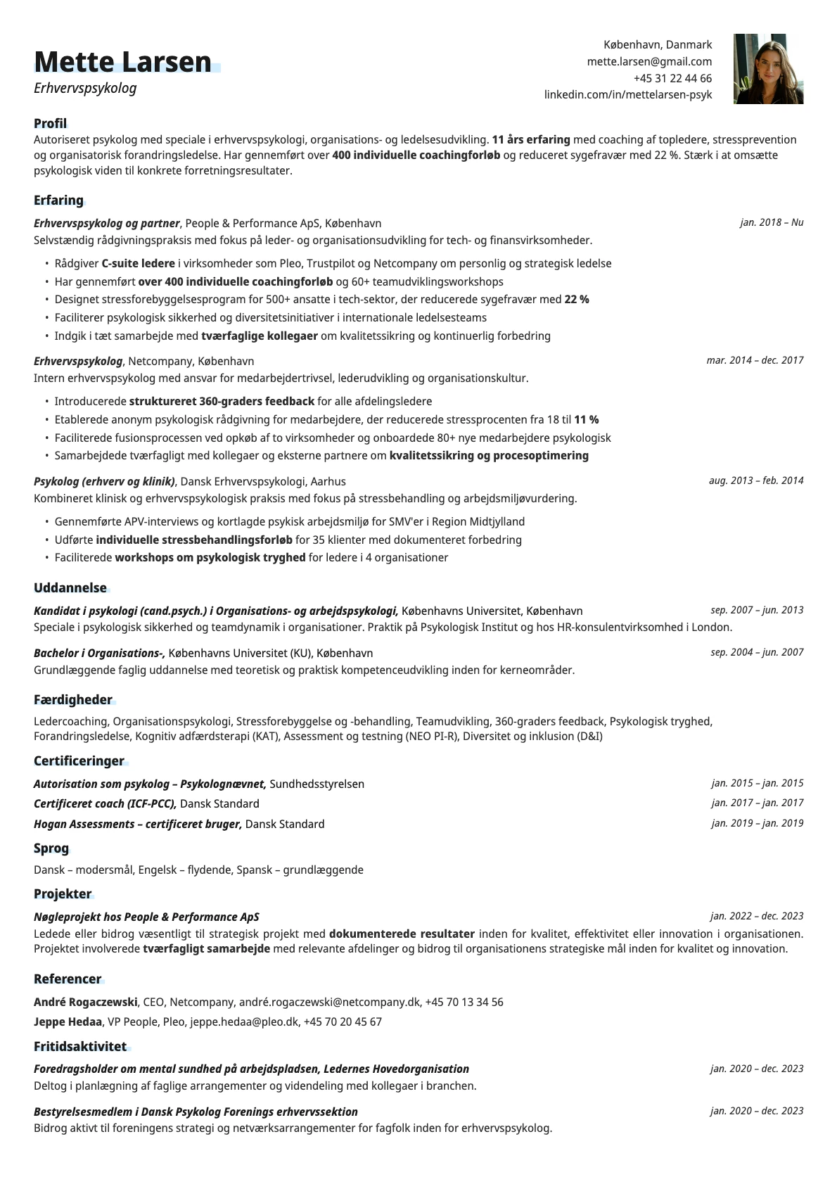 Resume template preview