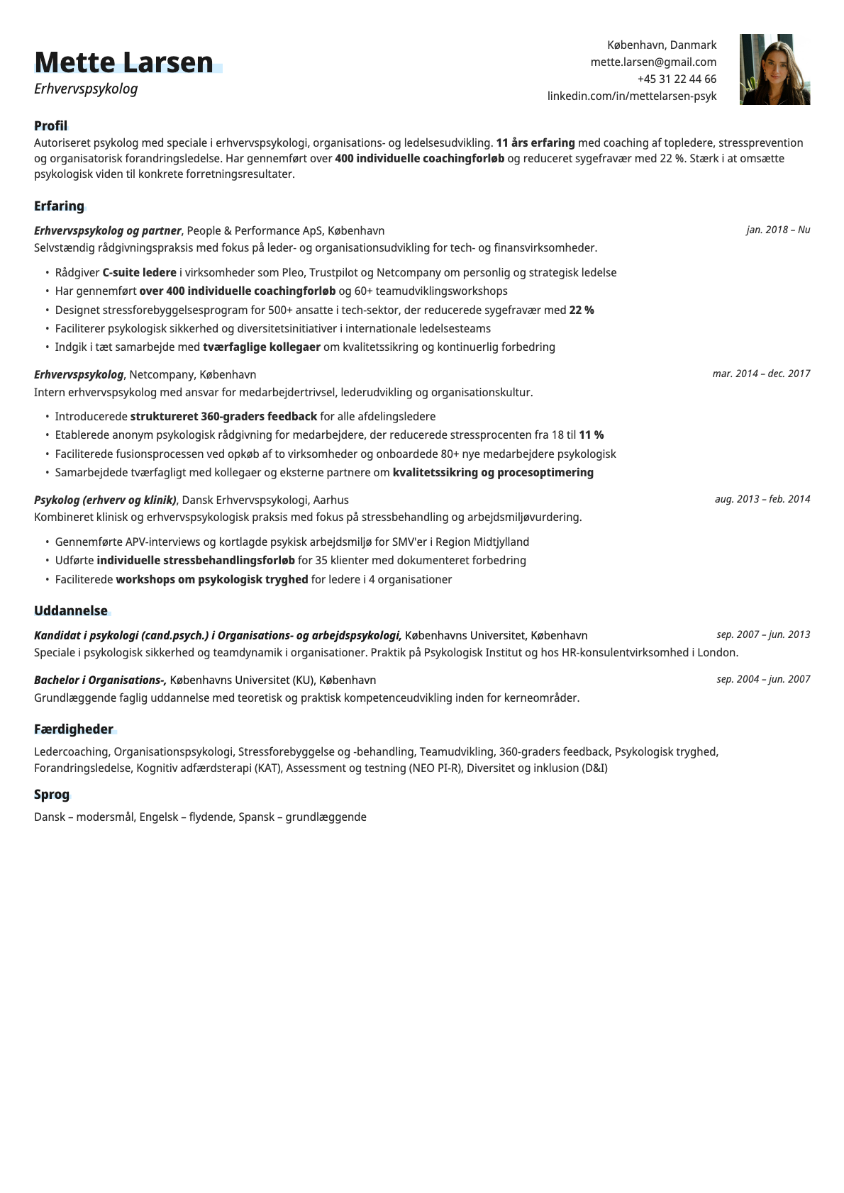 Resume template preview